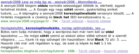 long snippet in google SERP